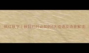 枫红秋字秋日红叶必知的5大成语及诗意解读