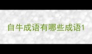 自牛成语有哪些成语