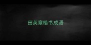 田英章楷书成语