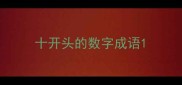 十开头的数字成语