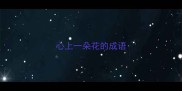 心上一朵花的成语