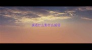 成语什么影什么成语