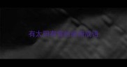 有太阳有雪的成语成语
