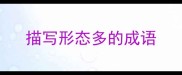 描写形态多的成语