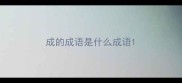 成的成语是什么成语