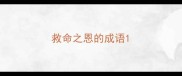 救命之恩的成语