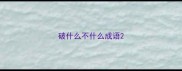 破什么不什么成语