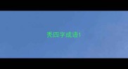 秃四字成语