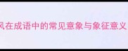 风在成语中的常见意象与象征意义