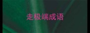 走极端成语