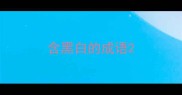 含黑白的成语