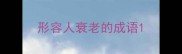 形容人衰老的成语