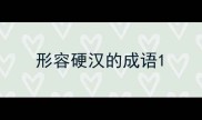 形容硬汉的成语
