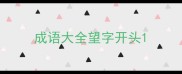成语大全望字开头
