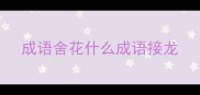 成语舍花什么成语接龙
