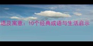 猫和鱼相关的成语及寓意10个经典成语与生活启示附应用场景
