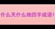什么天什么地四字成语