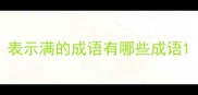 表示满的成语有哪些成语