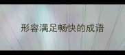 形容满足畅快的成语