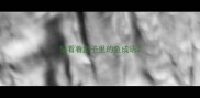 猫看着盘子里的鱼成语