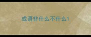 成语非什么不什么