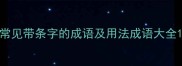 常见带条字的成语及用法成语大全