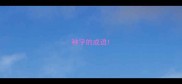 种字的成语
