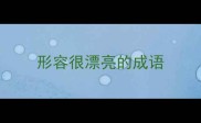 形容很漂亮的成语