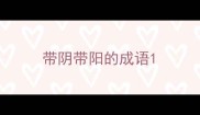 带阴带阳的成语