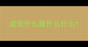 成语什么翼什么什么