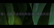 新手必看从在字成语玩转接龙掌握高效学习技巧