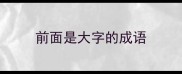 前面是大字的成语