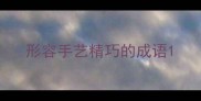 形容手艺精巧的成语
