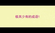 极其少有的成语