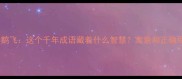 水净鹅飞这个千年成语藏着什么智慧寓意和正确用法