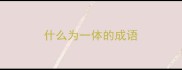 什么为一体的成语