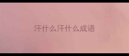 汗什么汗什么成语