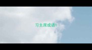 习主席成语