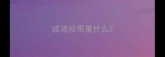 成语拾带重什么