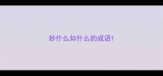 妙什么如什么的成语