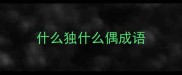 什么独什么偶成语