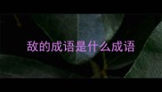 敌的成语是什么成语