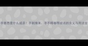 手意思是什么成语手到擒来手不释卷等成语的含义与用法全