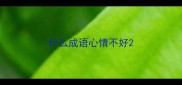 什么成语心情不好
