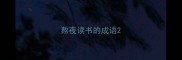 熬夜读书的成语