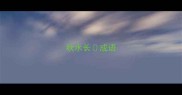 秋水长成语