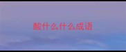 酸什么什么成语