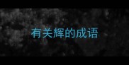 有关辉的成语