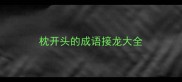 枕开头的成语接龙大全