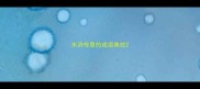 水浒传里的成语典故